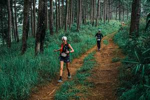 BIB: 
                            <button type="button" onclick="openModal(25655284)" class="btn btn-primary btn-sm float-right btn-popup" data-toggle="modal" data-target=".modal-high-quality">
                        <i class="fas fa-shopping-cart"></i> Add to Cart
                    </button>
                                            <button type="button" onclick="isThisMe(25655284, true)" class="btn btn-success btn-sm float-right btn-popup btn-isme hidden" data-toggle="tooltip" data-placement="bottom" title="นี่คือรูปของคุณใช่ไหม คลิกที่นี่เพื่อเอาเข้าอัลบั้ม">
                        <i class="fas fa-plus"></i> Add to album
                    </button>
                    <button type="button" onclick="isThisMe(25655284, false)" class="btn btn-warning btn-sm float-right btn-popup btn-isnotme hidden">
                        <i class="fas fa-ban"></i> Remove from album
                    </button>